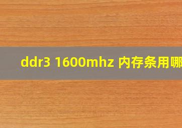 ddr3 1600mhz 内存条用哪个